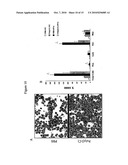 Toll-Like Receptor Agonist Regulation of VEGF-Induced Tissue Responses diagram and image