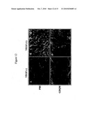 Toll-Like Receptor Agonist Regulation of VEGF-Induced Tissue Responses diagram and image