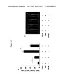 Toll-Like Receptor Agonist Regulation of VEGF-Induced Tissue Responses diagram and image