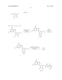 NON-HYDROLYZABLE NUCLEOSIDE DI- OR TRI-PHOSPHATE DERIVATIVES AND USES THEREOF diagram and image