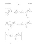 NON-HYDROLYZABLE NUCLEOSIDE DI- OR TRI-PHOSPHATE DERIVATIVES AND USES THEREOF diagram and image