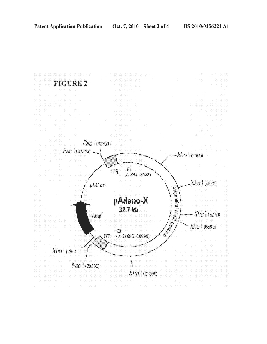 Methods and compositions for treating neuropathic and neurodegenerative conditions - diagram, schematic, and image 03