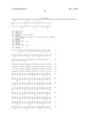  GLP-1 Fusion Peptides, Their Production and Use diagram and image