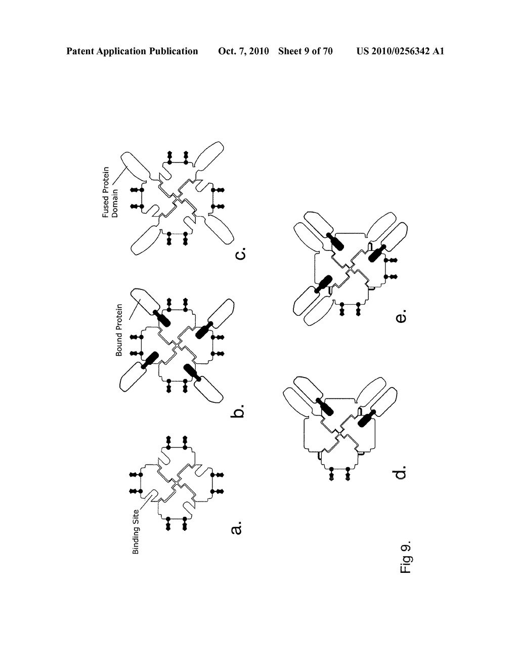 PROTEIN NODES FOR CONTROLLED NANOSCALE ASSEMBLY - diagram, schematic, and image 10