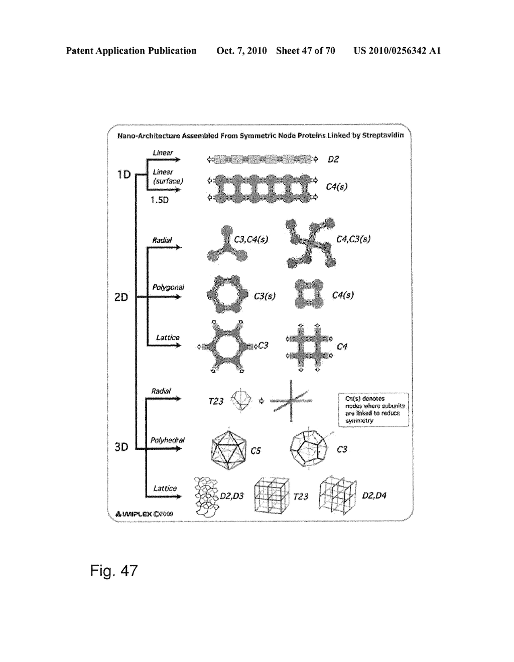 PROTEIN NODES FOR CONTROLLED NANOSCALE ASSEMBLY - diagram, schematic, and image 48