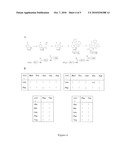 3-3-Di-Substituted-Oxindoles As Inhibitors of Translation Initiation diagram and image