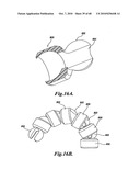 FLUID MANIFOLD FOR ENDOSCOPE SYSTEM diagram and image