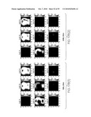 METHOD AND APPARATUS FOR MEDICAL IMAGING USING COMBINED NEAR-INFRARED OPTICAL TOMOGRAPHY, FLUORESCENT TOMOGRAPHY AND ULTRASOUND diagram and image