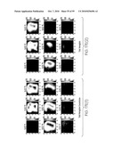 METHOD AND APPARATUS FOR MEDICAL IMAGING USING COMBINED NEAR-INFRARED OPTICAL TOMOGRAPHY, FLUORESCENT TOMOGRAPHY AND ULTRASOUND diagram and image