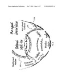 Method for injecting fillers into the dermis diagram and image