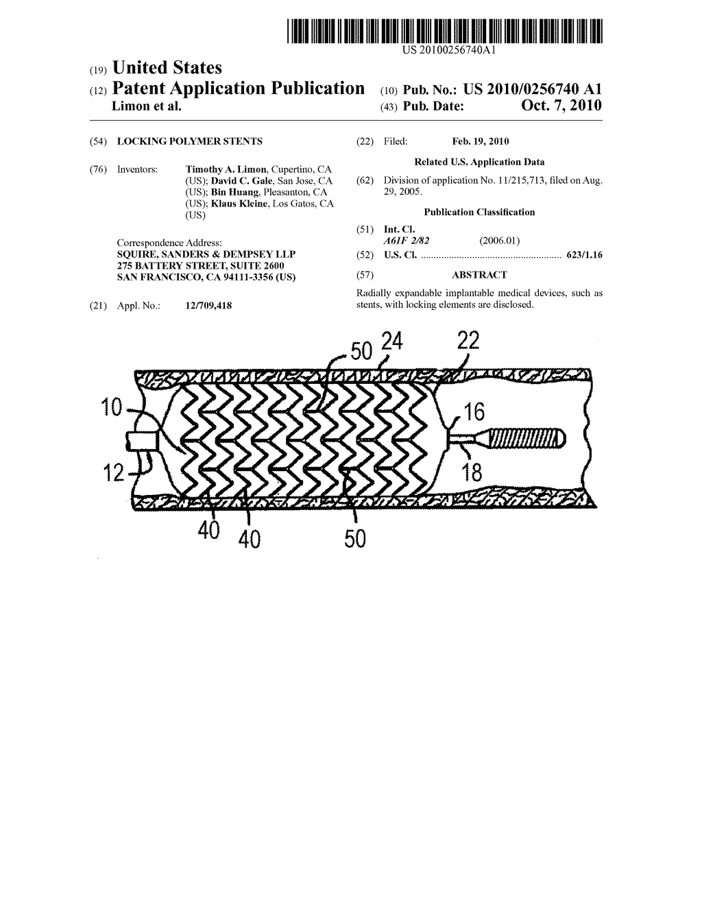 Locking Polymer Stents - diagram, schematic, and image 01