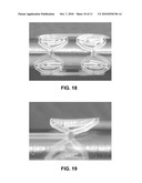 Locking Polymer Stents diagram and image