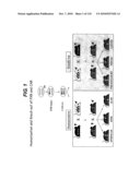 TRANSGENIC ANIMALS FOR ASSESSING DRUG METABOLSIM AND TOXICITY diagram and image