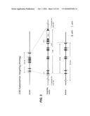 TRANSGENIC ANIMALS FOR ASSESSING DRUG METABOLSIM AND TOXICITY diagram and image