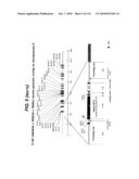 TRANSGENIC ANIMALS FOR ASSESSING DRUG METABOLSIM AND TOXICITY diagram and image