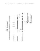 TRANSGENIC ANIMALS FOR ASSESSING DRUG METABOLSIM AND TOXICITY diagram and image