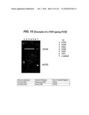 TRANSGENIC ANIMALS FOR ASSESSING DRUG METABOLSIM AND TOXICITY diagram and image