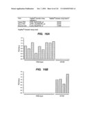 TRANSGENIC ANIMALS FOR ASSESSING DRUG METABOLSIM AND TOXICITY diagram and image