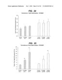 TRANSGENIC ANIMALS FOR ASSESSING DRUG METABOLSIM AND TOXICITY diagram and image