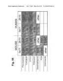 TRANSGENIC ANIMALS FOR ASSESSING DRUG METABOLSIM AND TOXICITY diagram and image