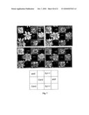 METHOD FOR IMPROVING STRESS RESISTANCE IN PLANTS AND MATERIALS THEREFOR diagram and image