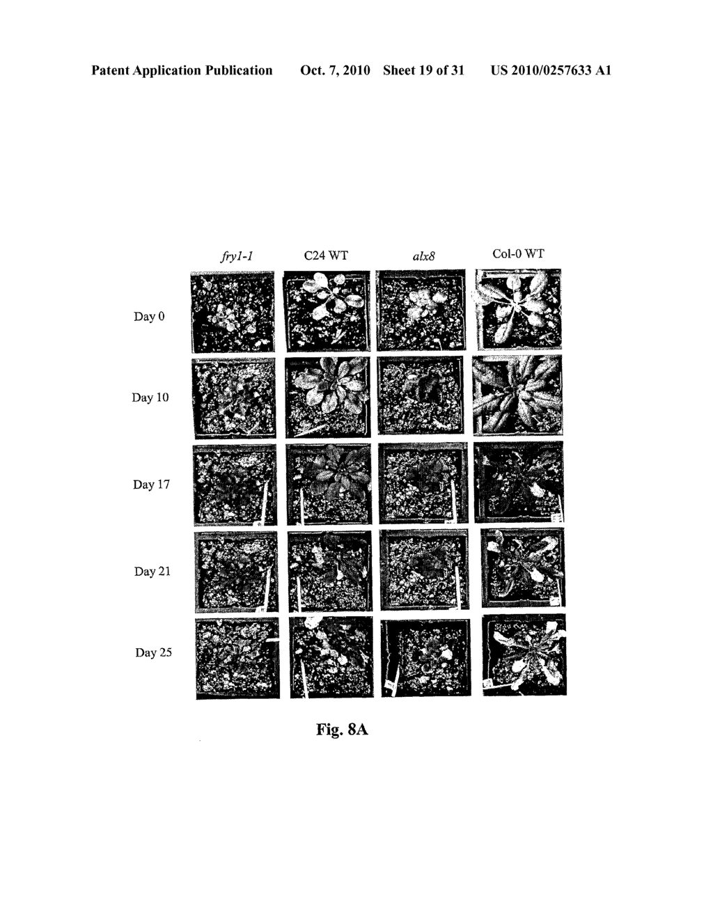 METHOD FOR IMPROVING STRESS RESISTANCE IN PLANTS AND MATERIALS THEREFOR - diagram, schematic, and image 20