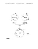 PRODUCTION OF COMMERCIAL BIODIESEL FROM GENETICALLY MODIFIED MICROORGANISMS diagram and image