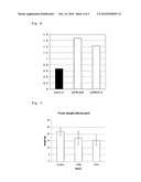 PLANT CAPABLE OF ACCUMULATING INORGANIC PHOSPHATE AT HIGH LEVEL AND USE OF THE PLANT diagram and image