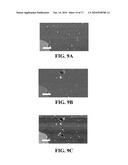 SELF-ASSEMBLED ORGANIC MONOLAYERS ON GRAPHENE AND METHODS OF MAKING AND USING diagram and image