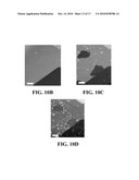 SELF-ASSEMBLED ORGANIC MONOLAYERS ON GRAPHENE AND METHODS OF MAKING AND USING diagram and image