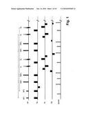 Simultaneous excitation and acquisition of signal from multiple slices in the RARE sequence (multiplex RARE) diagram and image