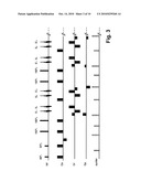 Simultaneous excitation and acquisition of signal from multiple slices in the RARE sequence (multiplex RARE) diagram and image