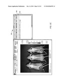 GRAPHICAL USER INTERFACE FOR IN-VIVO IMAGING diagram and image