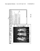 GRAPHICAL USER INTERFACE FOR IN-VIVO IMAGING diagram and image