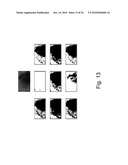 METHODS AND SYSTEMS FOR IMAGING CELLS diagram and image