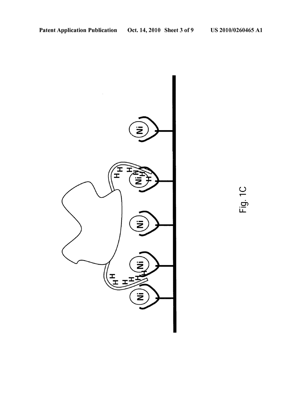 Protein engineering strategies to optimize activity of surface attached proteins - diagram, schematic, and image 04