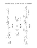 Nanoparticles for brain tumor imaging diagram and image