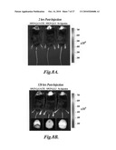 Nanoparticles for brain tumor imaging diagram and image