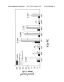 Nanoparticles for brain tumor imaging diagram and image