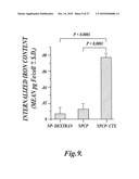 Nanoparticles for brain tumor imaging diagram and image