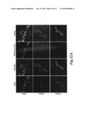 Nanoparticles for brain tumor imaging diagram and image