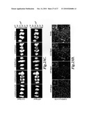 Nanoparticles for brain tumor imaging diagram and image