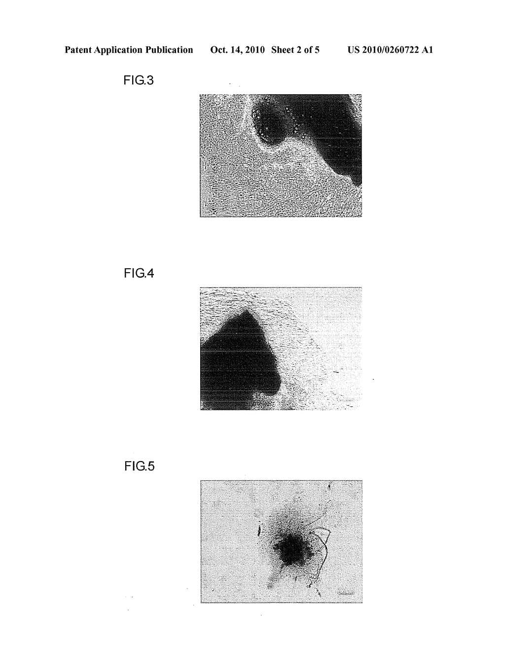 Material for ameliorating skin tissue and method for producing the same - diagram, schematic, and image 03