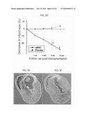 METHOD TO AMPLIFY CARDIAC STEM CELLS IN VITRO AND IN VIVO diagram and image