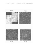 METHOD TO AMPLIFY CARDIAC STEM CELLS IN VITRO AND IN VIVO diagram and image