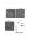 METHOD TO AMPLIFY CARDIAC STEM CELLS IN VITRO AND IN VIVO diagram and image