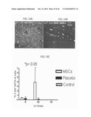 METHOD TO AMPLIFY CARDIAC STEM CELLS IN VITRO AND IN VIVO diagram and image