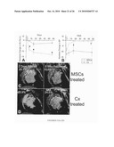 METHOD TO AMPLIFY CARDIAC STEM CELLS IN VITRO AND IN VIVO diagram and image