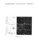 METHOD TO AMPLIFY CARDIAC STEM CELLS IN VITRO AND IN VIVO diagram and image