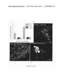 METHOD TO AMPLIFY CARDIAC STEM CELLS IN VITRO AND IN VIVO diagram and image